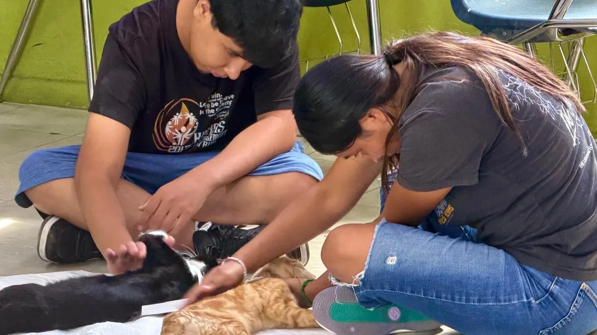 Realiza DABA campaña gratuita de esterilización en Ciudad Juárez