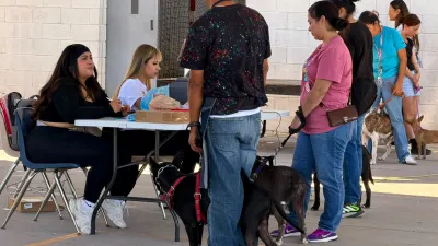 Ofrece DABA esterilización gratuita para perros y gatos este fin de semana