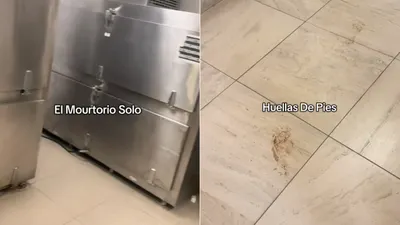 ¿Qué salió del mortuorio? Extrañas pisadas aterrorizan a trabajadores del IMSS