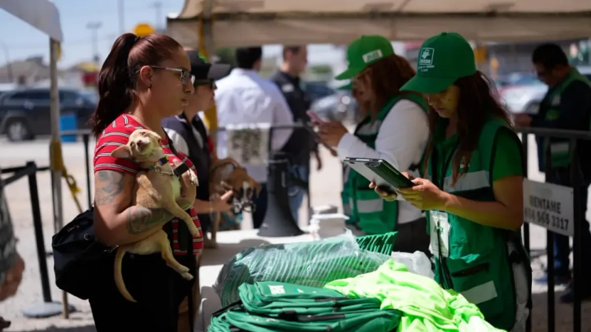 Jornada de salud animal del Partido Verde atiende a más de 600 mascotas