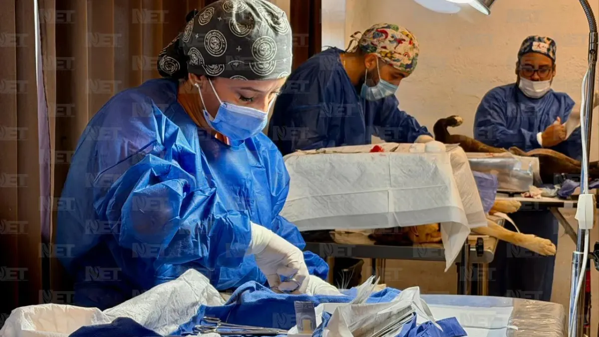 Esterilizan gratis a mascotas en escuela de Infonavit Juárez Nuevo