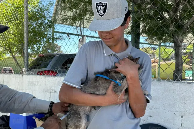 Anuncian vacunación antirrábica gratuita para perros y gatos en Juárez