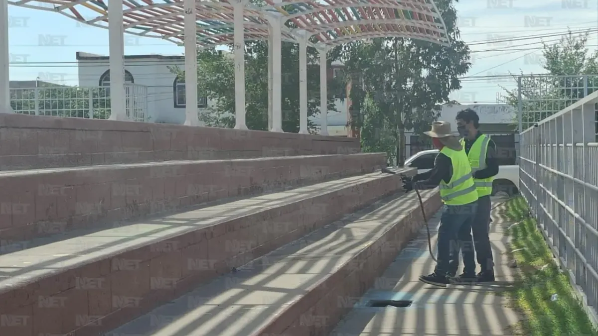 Inician fumigaciones contra garrapatas en 14 colonias de Ciudad Juárez