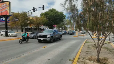 Árboles bloquean semáforos y elevan riesgo de choques en Paseo Triunfo