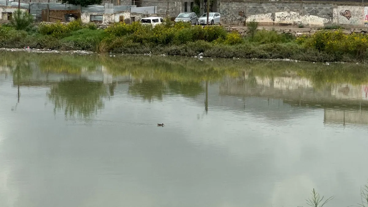 Lluvias elevan nivel de presa y escurre hacia viviendas en colonia Revolución Mexicana