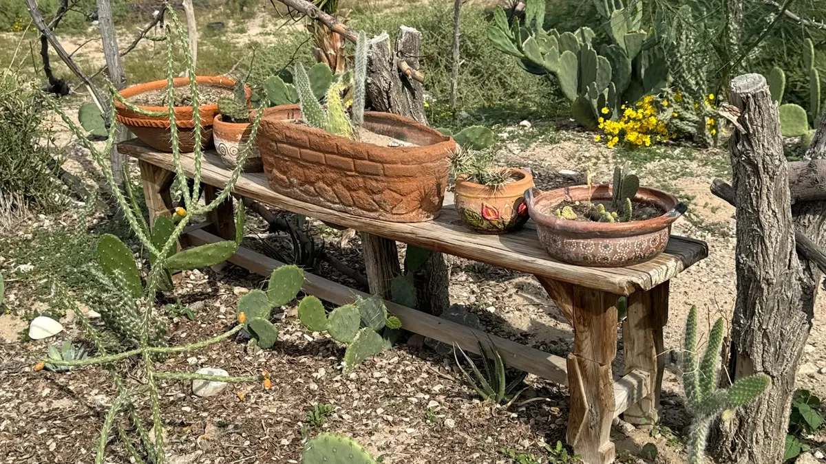 Convocan a jornadas de limpieza en jardín comunitario de Vista del Valle