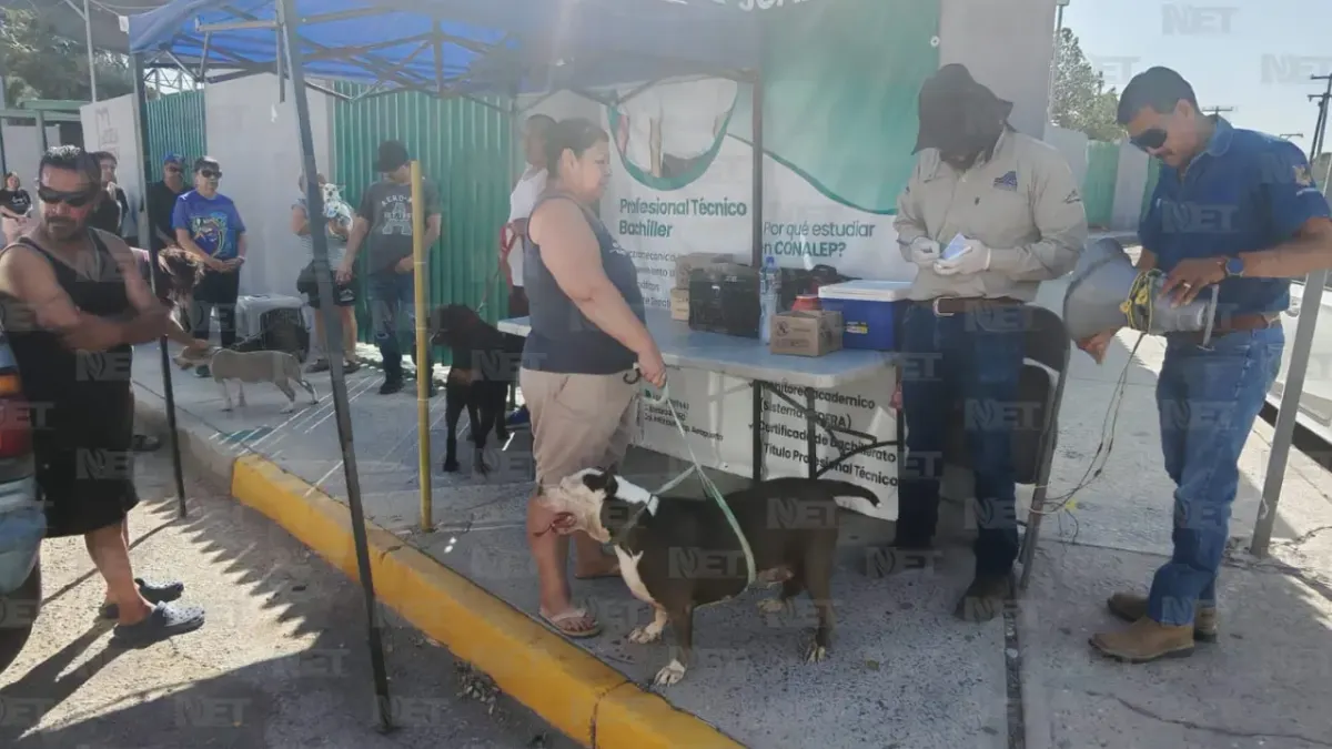 Acuden juarenses a jornada de vacunación antirrábica en dos colonias