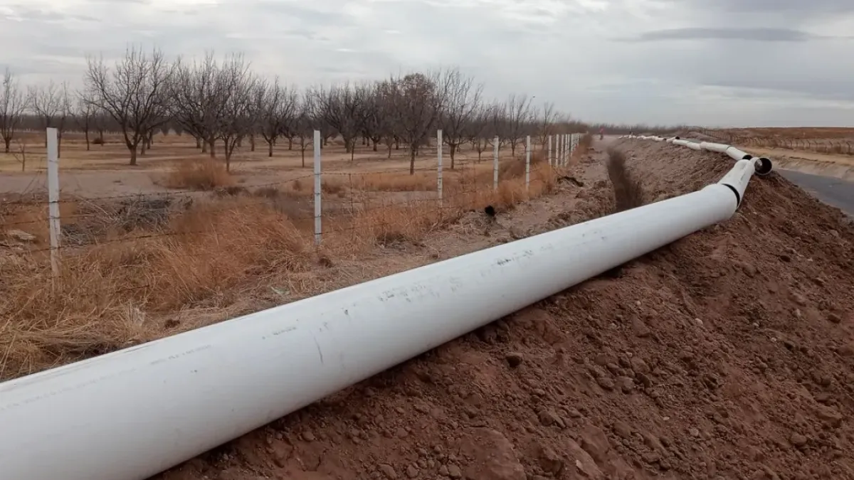 Plantean agricultura como motor para restaurar acuíferos en Chihuahua