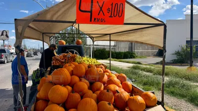 Llegan calabazas de Cuauhtémoc para Halloween a la frontera