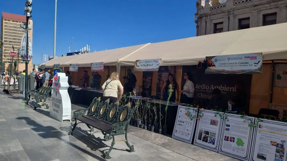 Lanza Chihuahua agenda turística con maratón, festivales y lunadas este fin de semana