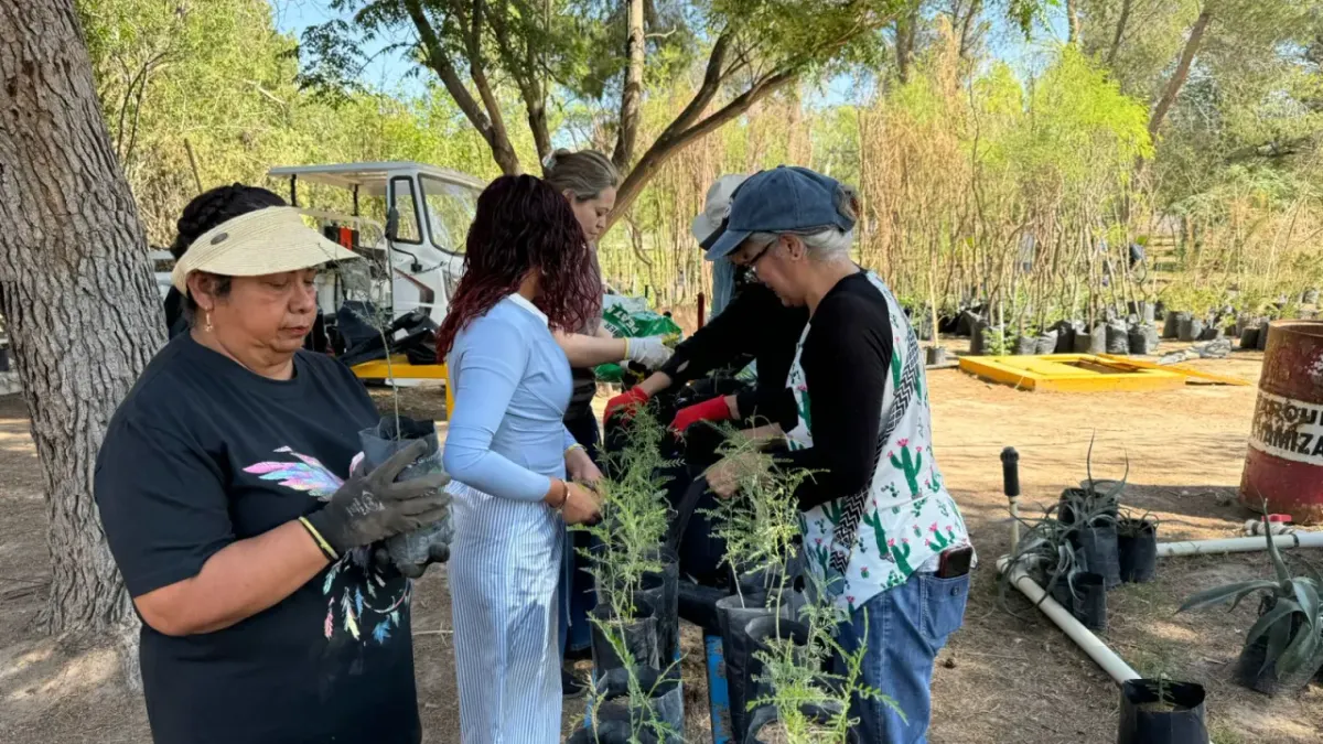 Apoyan voluntarios labores de reforestación en el Vivero Municipal