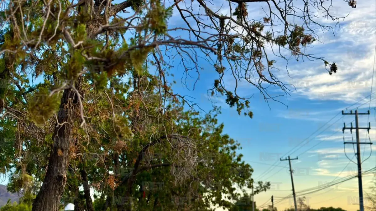 Alcanzará Juárez temperatura máxima de 37 grados este domingo