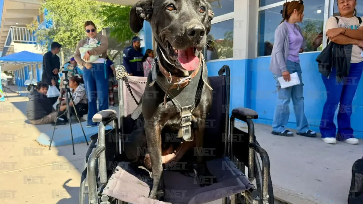 Realiza DABA jornada gratuita de esterilización en Praderas del Sol