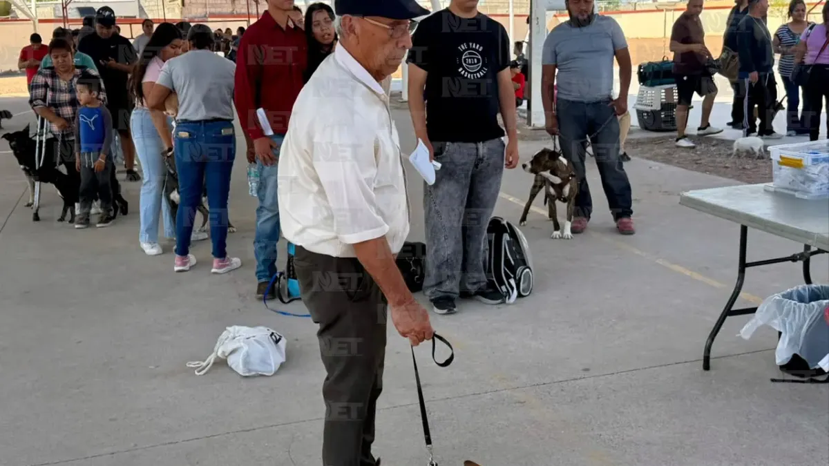 Realiza DABA jornada gratuita de esterilización en Praderas del Sol
