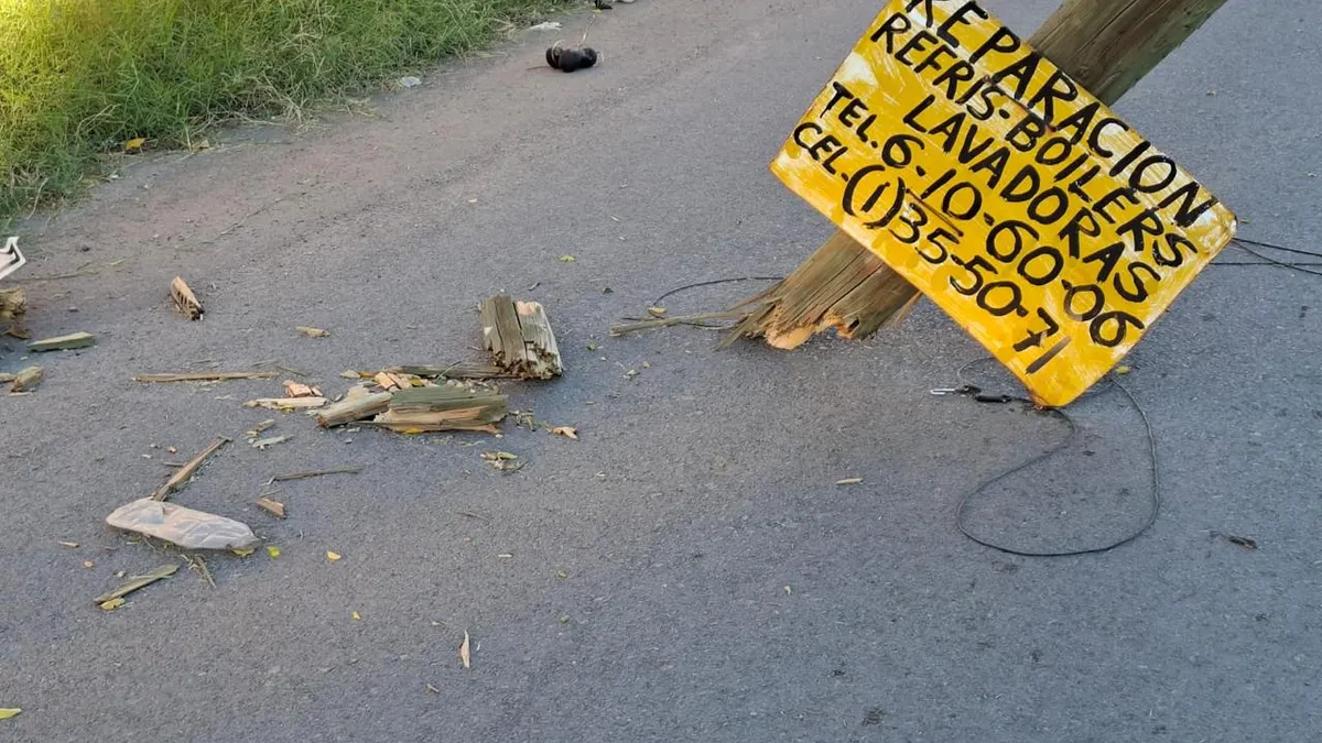 Poste caído bloquea vialidad en Jardines de San José