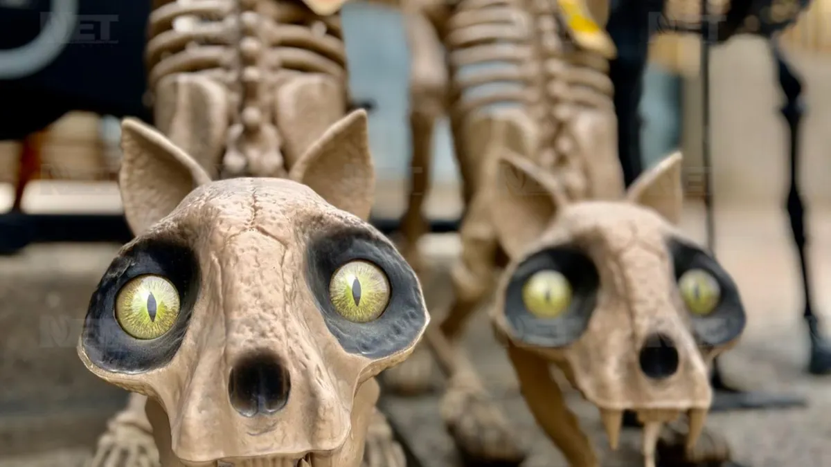 Venden animatronics gigantes para decorar casas por Halloween en Juárez