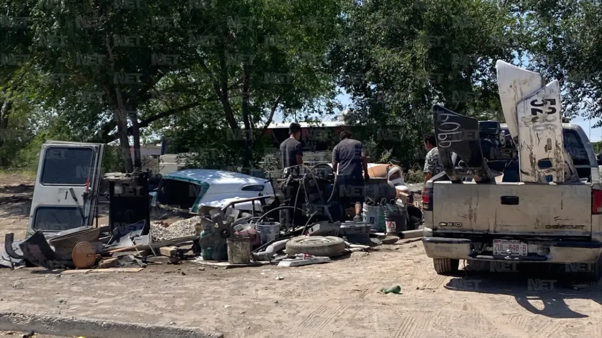 Realizan Megadestilichadero en Riberas del Bravo etapa 3