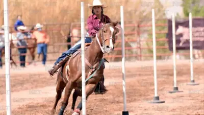 Rodeo, música y baile: Arena Santa Elena tendrá jornada vaquera este sábado