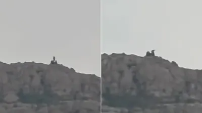Video viral en TikTok capta supuesto gigante en el Cerro Bola de Juárez