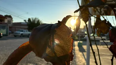 Tendrá Juárez sábado soleado con baja probabilidad de lluvia