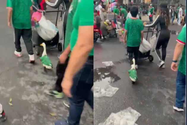Merlín, el pato mexicano que se vuelve viral en el Mundial 2026