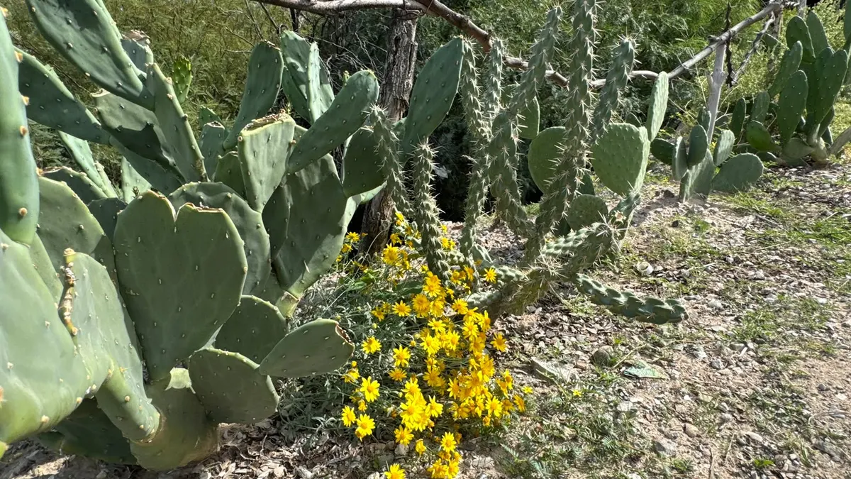 Convocan a jornadas de limpieza en jardín comunitario de Vista del Valle