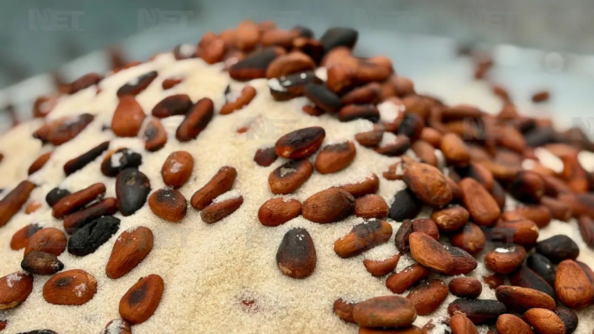 Café, cacao y tradición: así es la experiencia de la Expo Artesanal Oaxaca en el Parque Borunda