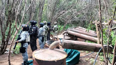 Desmantelan cuatro narcolaboratorios en Michoacán y Guerrero