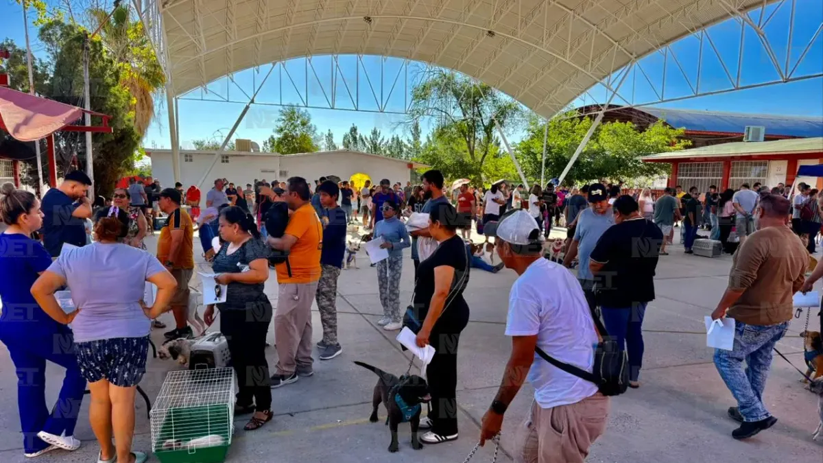 Esterilizan gratis a mascotas en escuela de Infonavit Juárez Nuevo
