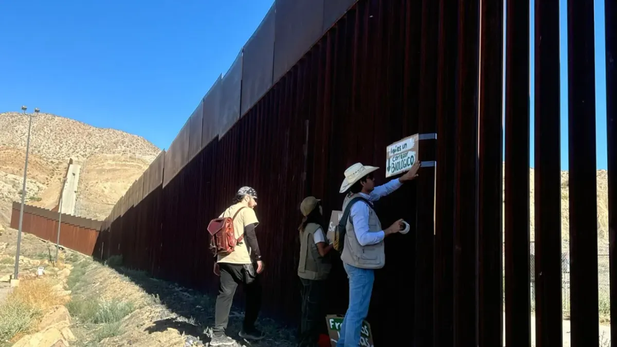 Denuncian daño ecológico en Sierra Muleros por muro fronterizo