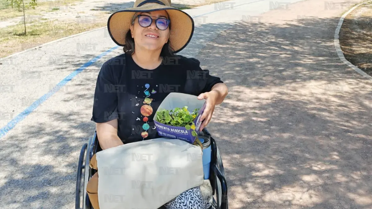 Regala Parque Central 800 árboles en Feria Ambiental