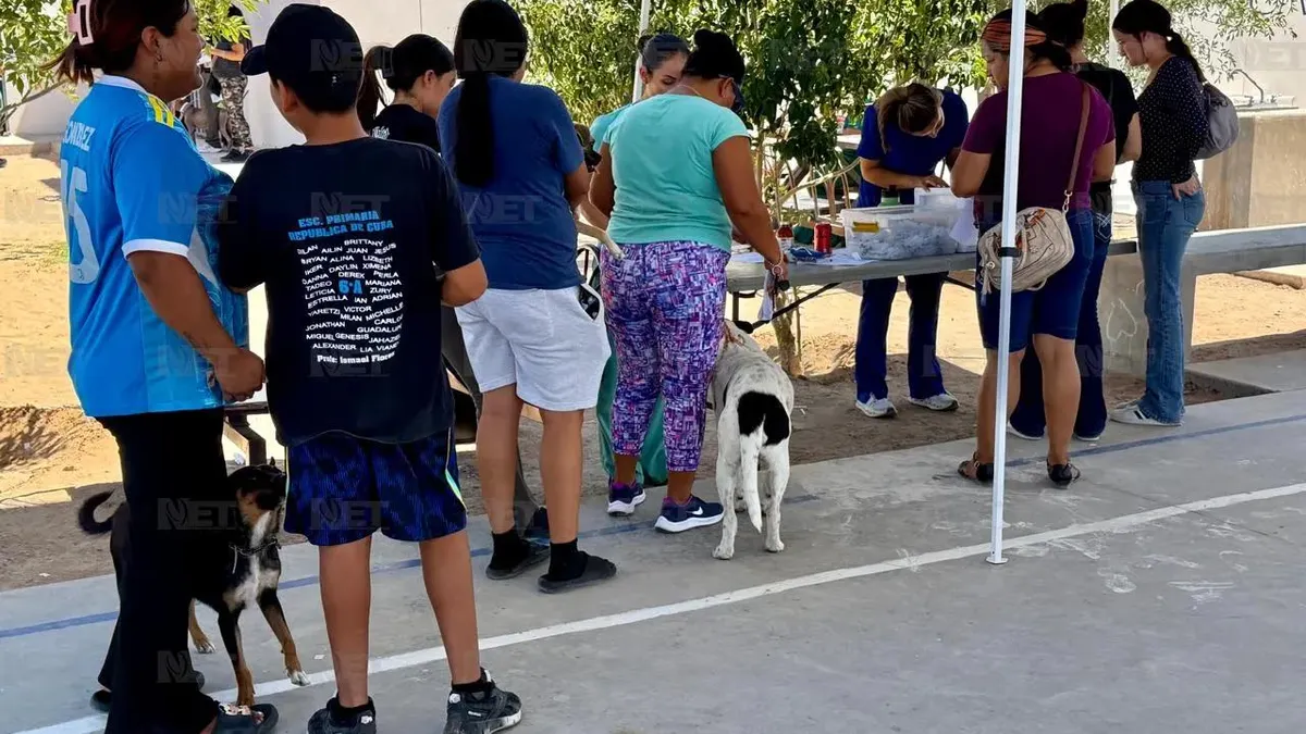 Realiza DABA campaña gratuita de esterilización en Ciudad Juárez