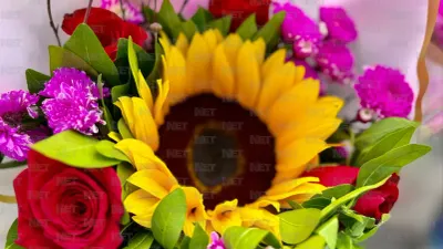 Trabajan vendedores de flores desde madrugada en Ciudad Juárez