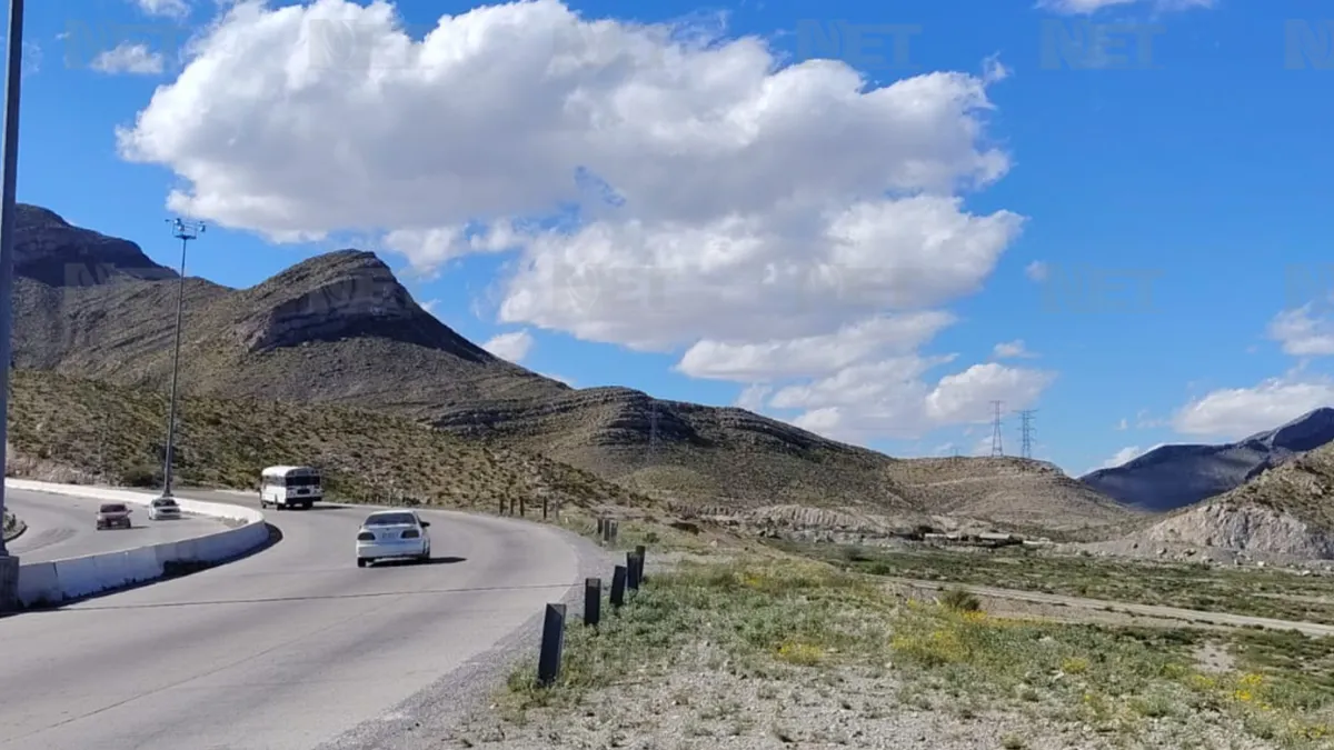 Lluvias transforman la Sierra de Juárez en un paisaje verde