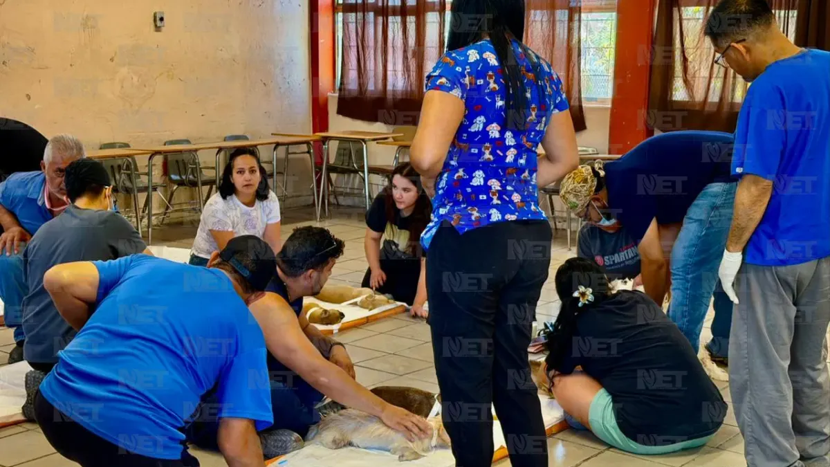 Esterilizan gratis a mascotas en escuela de Infonavit Juárez Nuevo