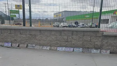 Recuperan vecinos más de 10 placas vehiculares extraviadas en Tierra Nueva