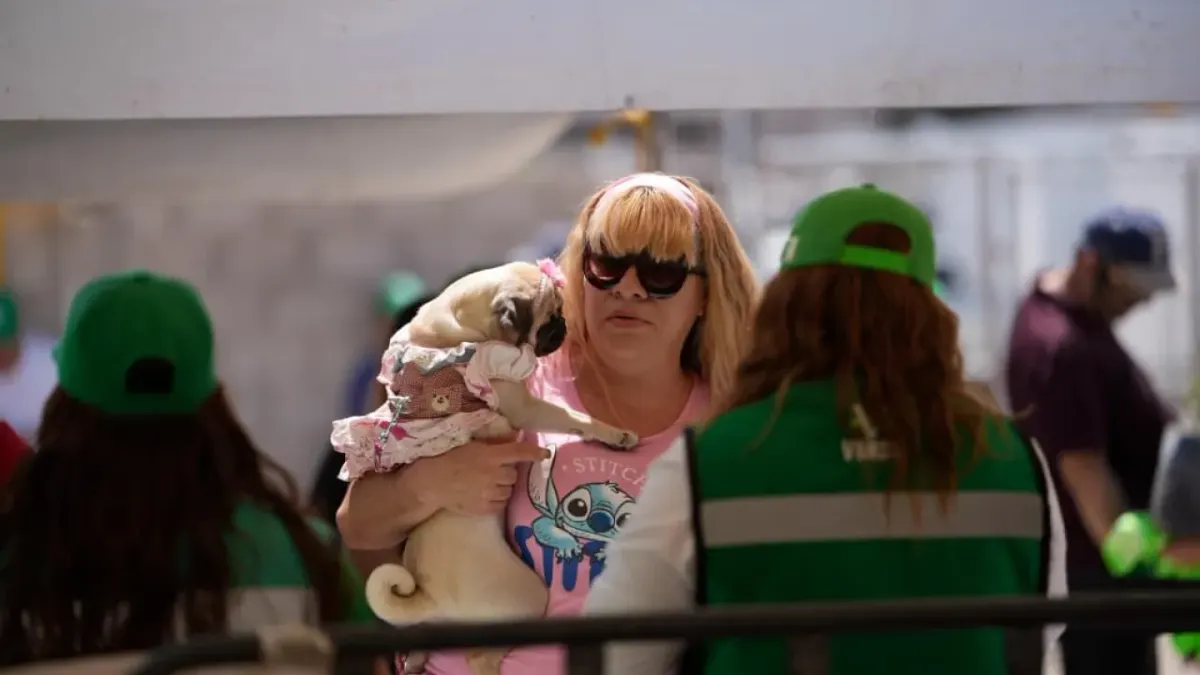 Jornada de salud animal del Partido Verde atiende a más de 600 mascotas