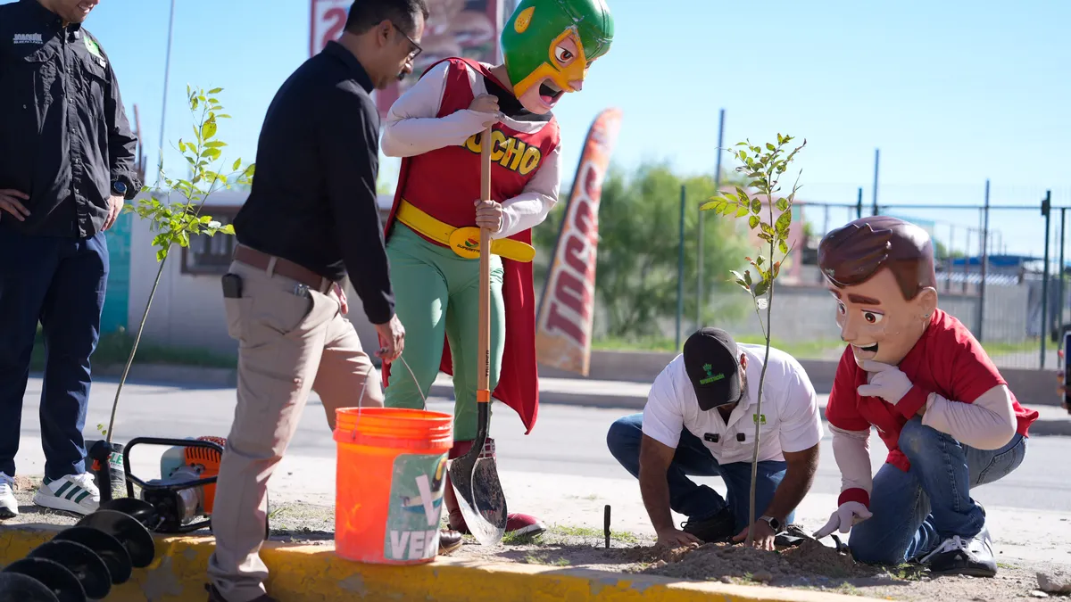 Partido Verde y Del Río se unen para plantar 115 fresnos en Juárez