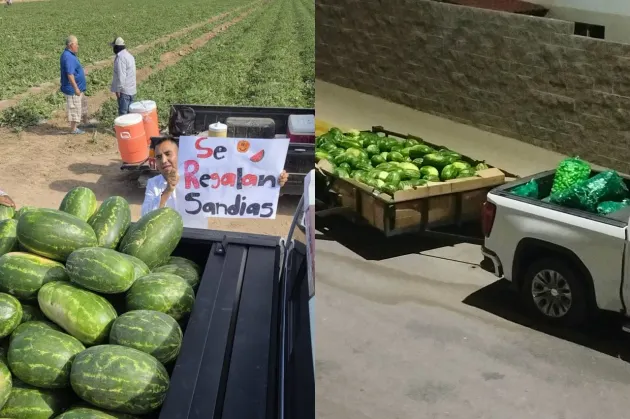Se viraliza empresario que compra cosechas y las regala a familias en Chihuahua