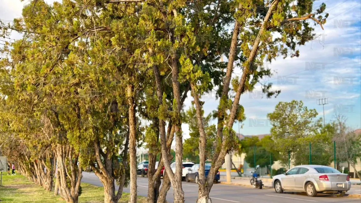 Alcanzará Juárez temperatura máxima de 37 grados este domingo