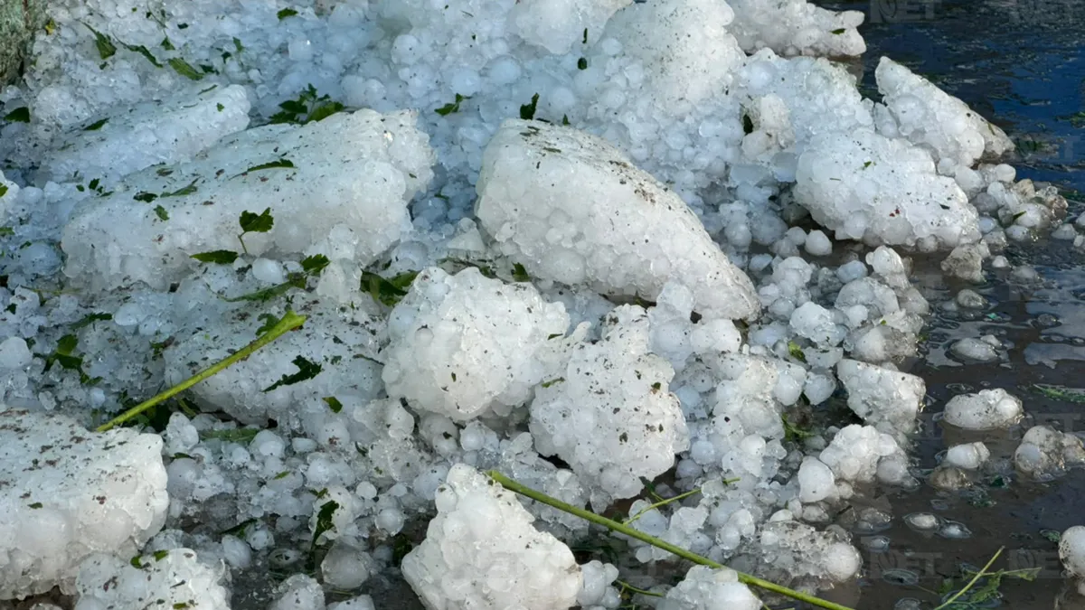 Sorprende a juarenses granizo que no se derrite
