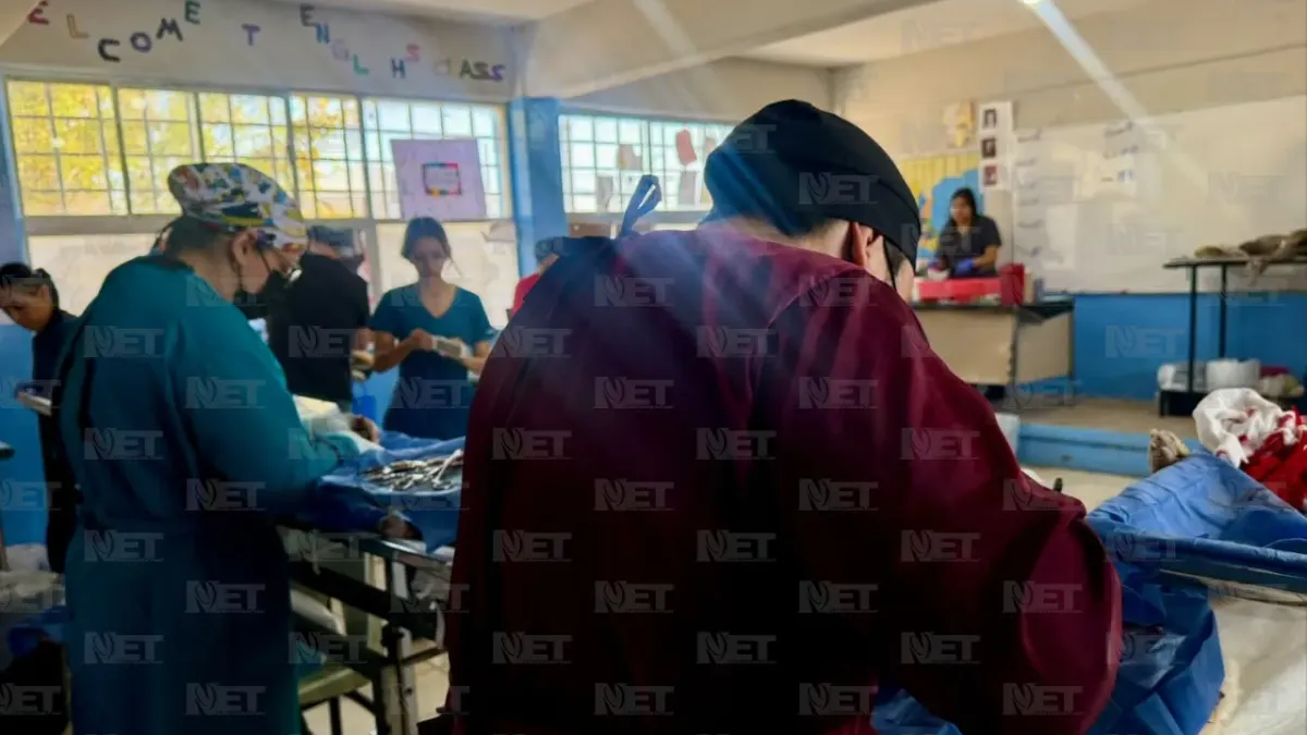 Realiza DABA jornada gratuita de esterilización en Praderas del Sol