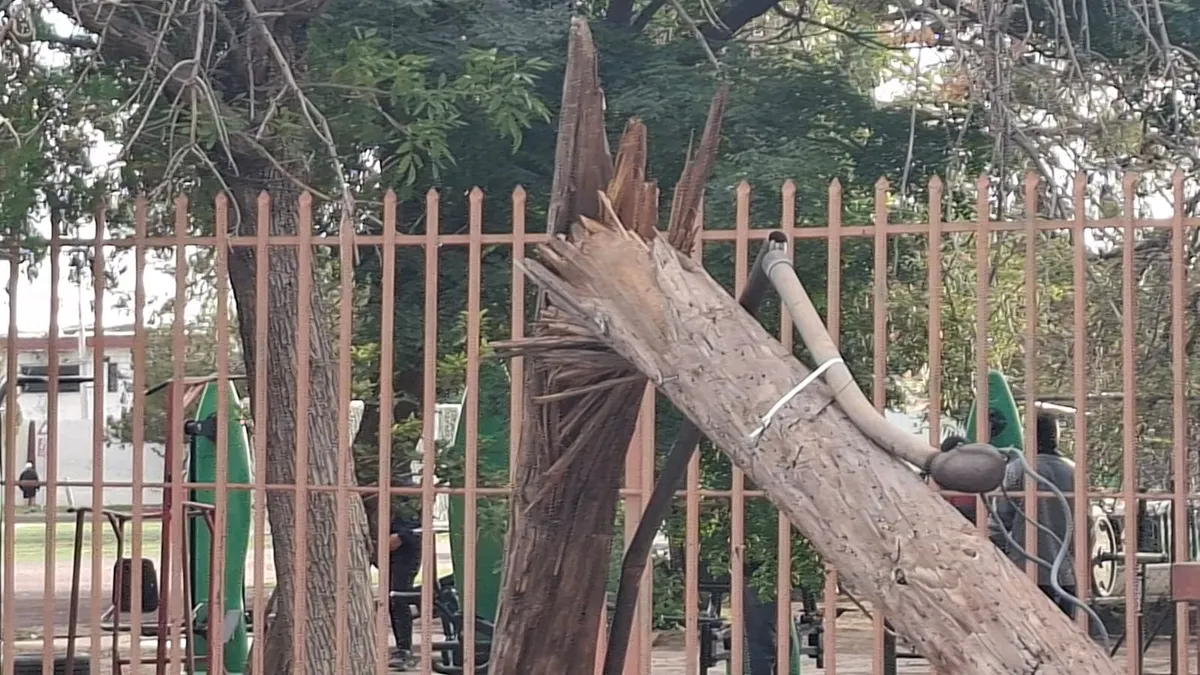 Derriba tráiler poste de telefonía y se da a la fuga en la Partido Romero