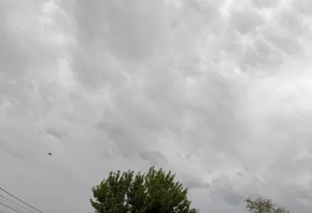 Alerta Protección Civil por tormentas severas en Juárez