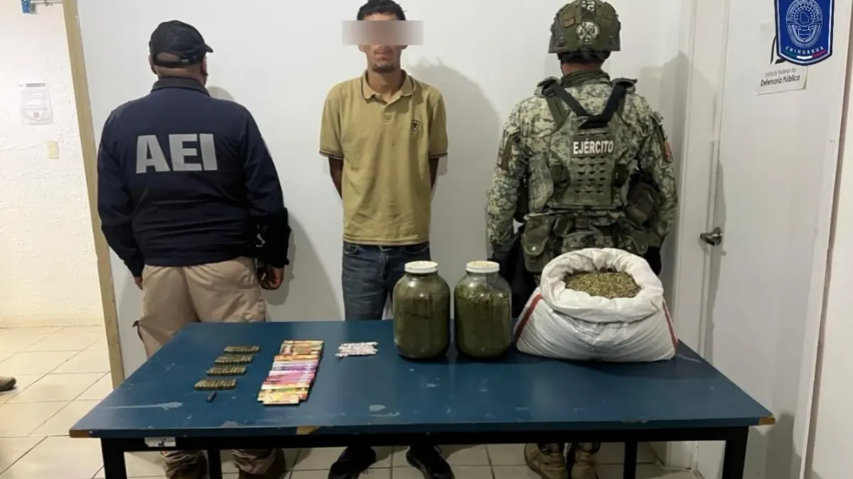 Rescatan dos tigres y detienen a hombre con droga y municiones en Nonoava