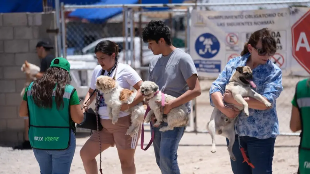 Jornada de salud animal del Partido Verde atiende a más de 600 mascotas