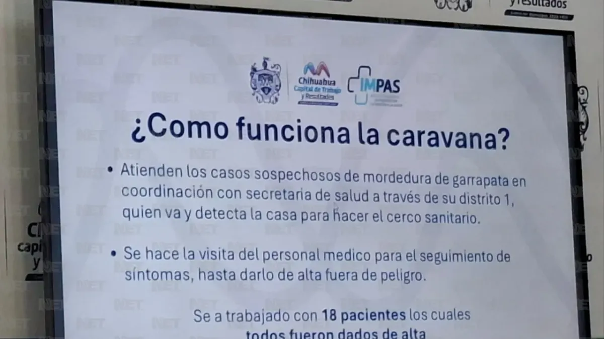 Detectan brigadas de salud 18 posibles casos de rickettsia en Chihuahua