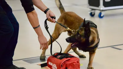 Anuncian competencia canina K9 'El Chuco 2026' en El Paso
