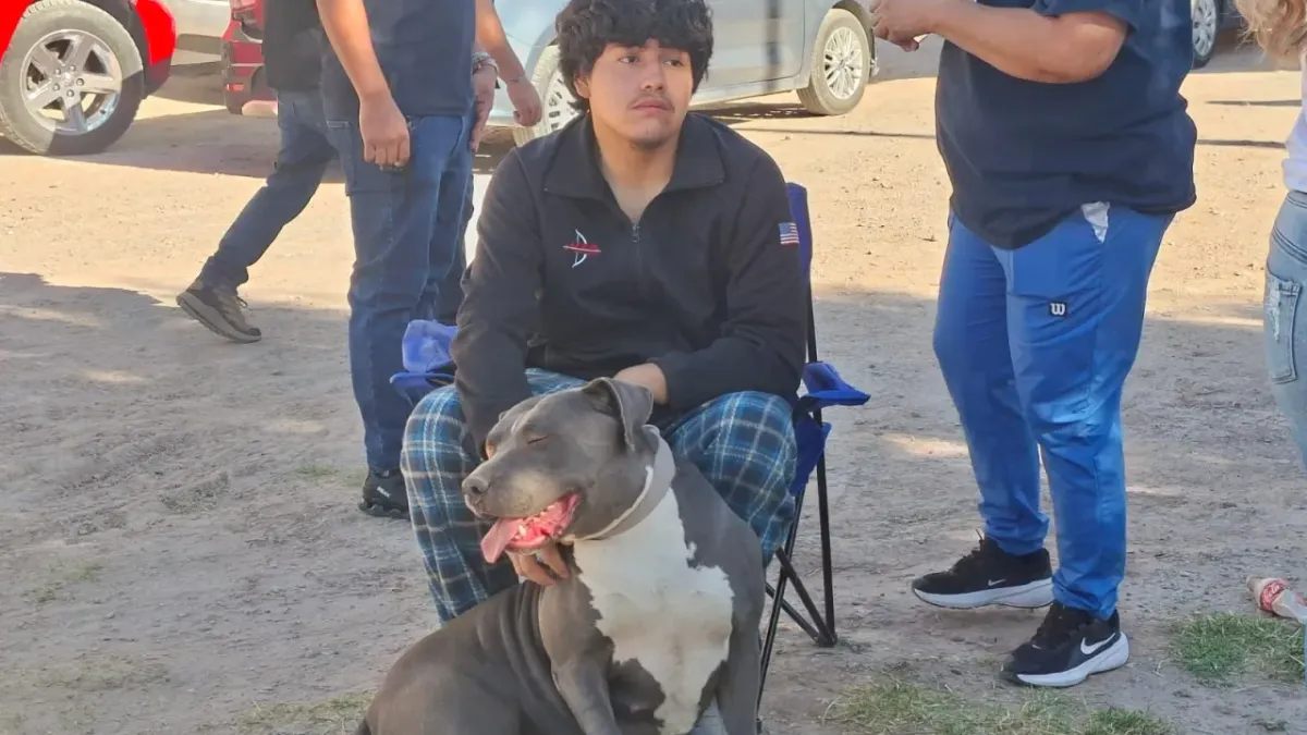 Acuden cientos a jornada de esterilización gratuita de mascotas