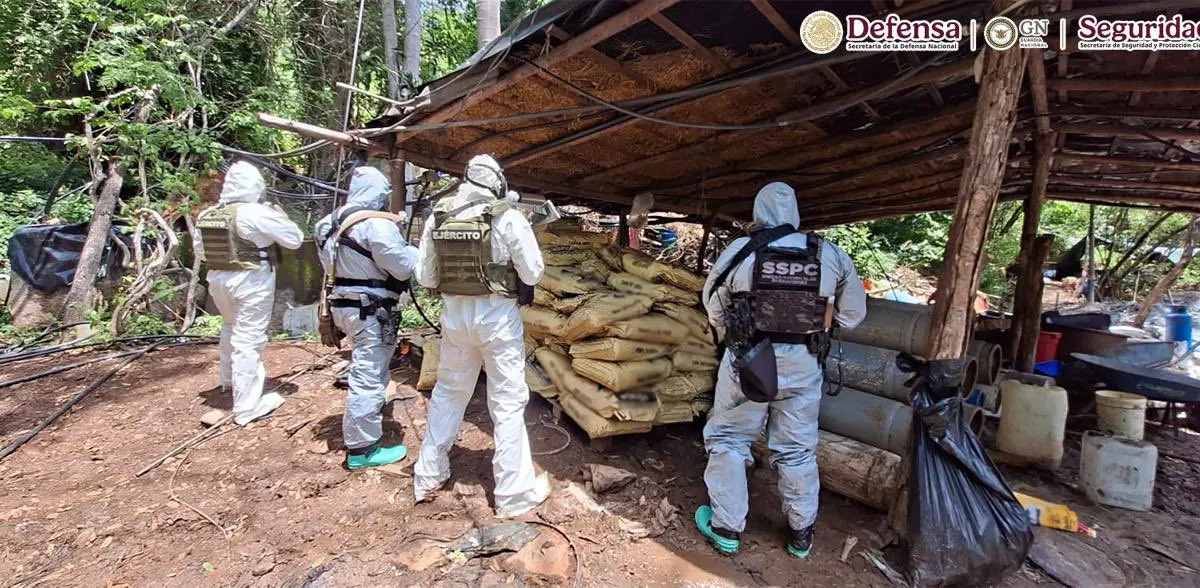 Desmantelan cuatro narcolaboratorios en Michoacán y Guerrero
